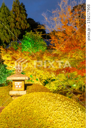 京都 東山泉涌寺別院 雲龍院(瑠璃山) 境内中庭の紅葉(蓮華の間からの眺め)ライトアップ 京都 東山泉涌寺別院 雲龍院(瑠璃山) 境内中庭の紅葉(蓮華の間からの眺め)ライトアップ 138217908