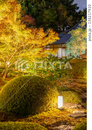 京都 東山泉涌寺別院 雲龍院(瑠璃山) 境内中庭の紅葉(悟りの間からの眺め)ライトアップ 京都 東山泉涌寺別院 雲龍院(瑠璃山) 境内中庭の紅葉(悟りの間からの眺め)ライトアップ 138217910