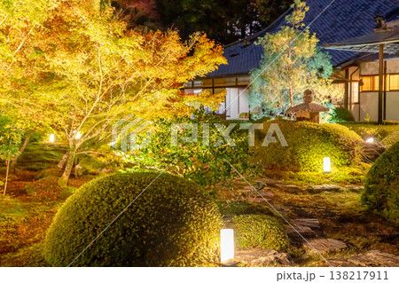 京都 東山泉涌寺別院 雲龍院(瑠璃山) 境内中庭の紅葉(悟りの間からの眺め)ライトアップ 京都 東山泉涌寺別院 雲龍院(瑠璃山) 境内中庭の紅葉(悟りの間からの眺め)ライトアップ 138217911