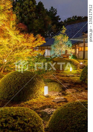 京都 東山泉涌寺別院 雲龍院(瑠璃山) 境内中庭の紅葉(悟りの間からの眺め)ライトアップ 京都 東山泉涌寺別院 雲龍院(瑠璃山) 境内中庭の紅葉(悟りの間からの眺め)ライトアップ 138217912
