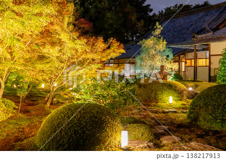 京都 東山泉涌寺別院 雲龍院(瑠璃山) 境内中庭の紅葉(悟りの間からの眺め)ライトアップ 京都 東山泉涌寺別院 雲龍院(瑠璃山) 境内中庭の紅葉(悟りの間からの眺め)ライトアップ 138217913