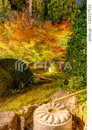 京都 東山泉涌寺別院 雲龍院(瑠璃山) 境内中庭の紅葉(月窓の間からの眺め) ライトアップ 京都 東山泉涌寺別院 雲龍院(瑠璃山) 境内中庭の紅葉(月窓の間からの眺め) ライトアップ 138217915
