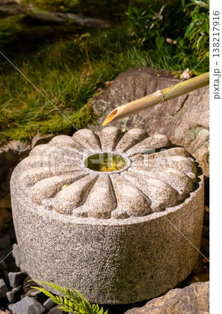 京都　東山泉涌寺別院　雲龍院（瑠璃山）境内中庭の水琴窟（龍淵のさやけし）龍の伊吹　ライトアップ 138217916