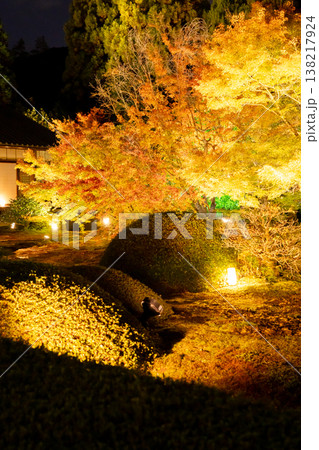 京都 東山泉涌寺別院 雲龍院(瑠璃山) 境内中庭の紅葉(大輪の間からの眺め)ライトアップ 京都 東山泉涌寺別院 雲龍院(瑠璃山) 境内中庭の紅葉(大輪の間からの眺め)ライトアップ 138217924