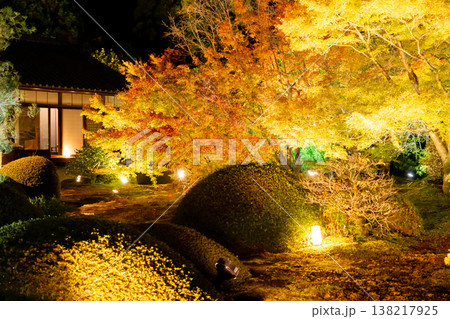京都 東山泉涌寺別院 雲龍院(瑠璃山) 境内中庭の紅葉(大輪の間からの眺め)ライトアップ 京都 東山泉涌寺別院 雲龍院(瑠璃山) 境内中庭の紅葉(大輪の間からの眺め)ライトアップ 138217925