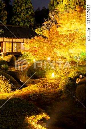 京都 東山泉涌寺別院 雲龍院(瑠璃山) 境内中庭の紅葉(大輪の間からの眺め)ライトアップ 京都 東山泉涌寺別院 雲龍院(瑠璃山) 境内中庭の紅葉(大輪の間からの眺め)ライトアップ 138217926