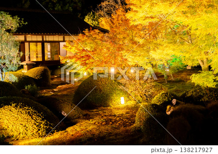 京都　東山泉涌寺別院　雲龍院（瑠璃山）　境内中庭の紅葉（大輪の間からの眺め）ライトアップ 138217927