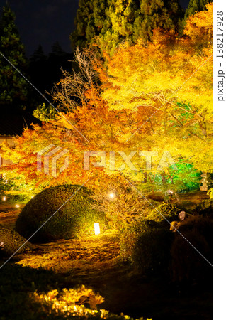 京都 東山泉涌寺別院 雲龍院(瑠璃山) 境内中庭の紅葉(大輪の間からの眺め)ライトアップ 京都 東山泉涌寺別院 雲龍院(瑠璃山) 境内中庭の紅葉(大輪の間からの眺め)ライトアップ 138217928