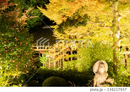 京都 東山泉涌寺別院 雲龍院(瑠璃山)山門脇の紅葉 もみじ ライトアップ 京都 東山泉涌寺別院 雲龍院(瑠璃山)山門脇の紅葉 もみじ ライトアップ 138217937