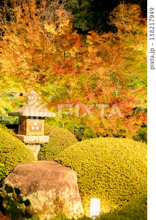 京都 東山泉涌寺別院 雲龍院(瑠璃山) 境内中庭の紅葉(蓮華の間からの眺め)ライトアップ 京都 東山泉涌寺別院 雲龍院(瑠璃山) 境内中庭の紅葉(蓮華の間からの眺め)ライトアップ 138217949