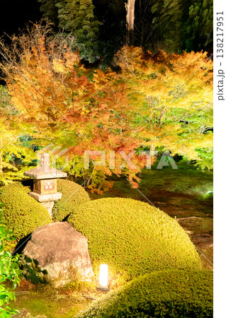 京都 東山泉涌寺別院 雲龍院(瑠璃山) 境内中庭の紅葉(蓮華の間からの眺め)ライトアップ 京都 東山泉涌寺別院 雲龍院(瑠璃山) 境内中庭の紅葉(蓮華の間からの眺め)ライトアップ 138217951