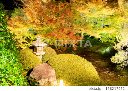 京都 東山泉涌寺別院 雲龍院(瑠璃山) 境内中庭の紅葉(蓮華の間からの眺め)ライトアップ 京都 東山泉涌寺別院 雲龍院(瑠璃山) 境内中庭の紅葉(蓮華の間からの眺め)ライトアップ 138217952