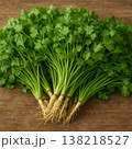 パクチー 138218527