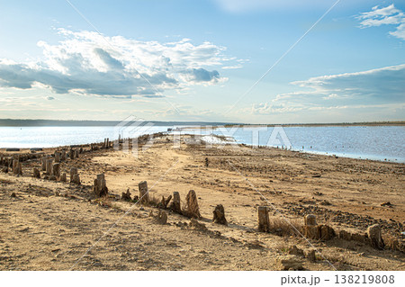 Wooden columns protrude from the kuyalnitsky estuary Wooden columns protrude from the kuyalnitsky estuary 138219808