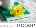 Yellow narcissus flower and green book, close-up. 138219847