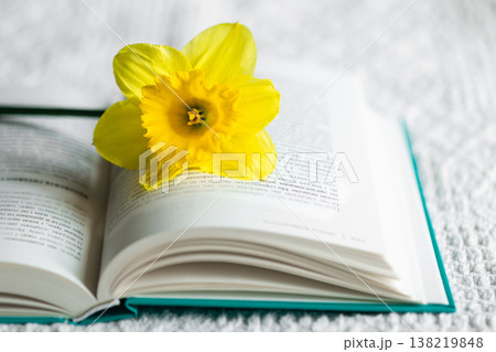 Yellow narcissus flower and open green book, close-up. Yellow narcissus flower and open green book, close-up. 138219848