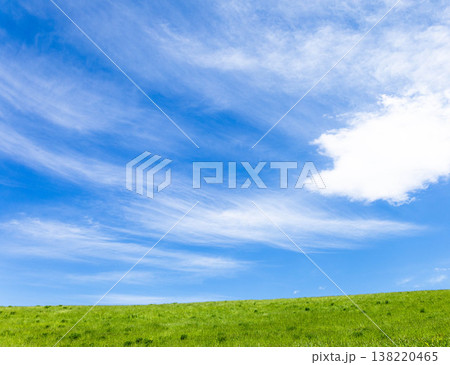 初夏の爽やかな青空と北海道美瑛町の草原が広がるシンプルな風景 初夏の爽やかな青空と北海道美瑛町の草原が広がるシンプルな風景 138220465