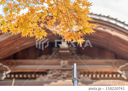 京都府長岡京市　西山　楊谷寺 (柳谷観音)　境内の紅葉（奥之院） 138220741