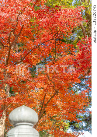 京都府長岡京市 西山 楊谷寺 (柳谷観音) 奥之院 紅葉 京都府長岡京市 西山 楊谷寺 (柳谷観音) 奥之院 紅葉 138220745
