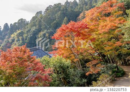 京都府長岡京市　西山　楊谷寺 (柳谷観音)　境内の紅葉（心参道のもみじ） 138220753