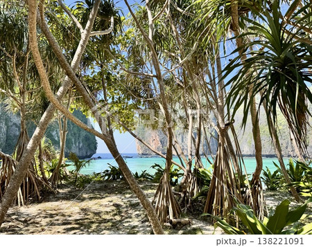 The famous Maya Bay beach with azure waters on the island of Phi Phi in Thailand in the Andaman Sea 138221091