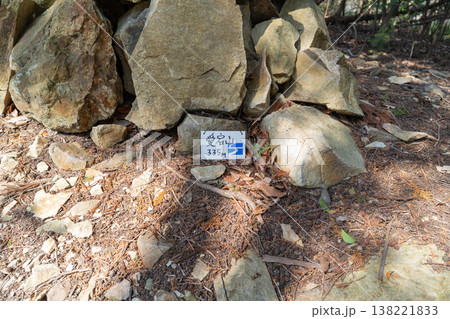 愛宕山の山頂（兵庫県川西市） 138221833