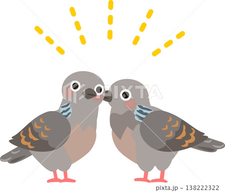 毛づくろいするキジバトのつがい 138222322