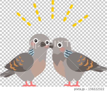 毛づくろいするキジバトのつがい 138222322