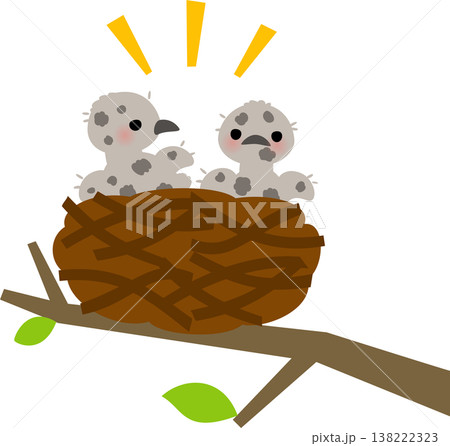 鳥の巣の中の灰色の雛鳥 138222323