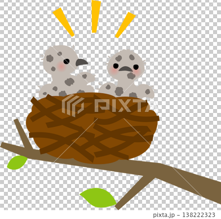 鳥の巣の中の灰色の雛鳥 138222323