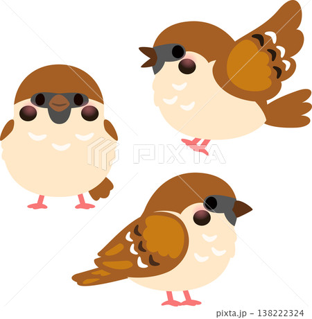 3羽のスズメ 138222324