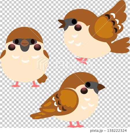 三隻麻雀 三隻麻雀 138222324