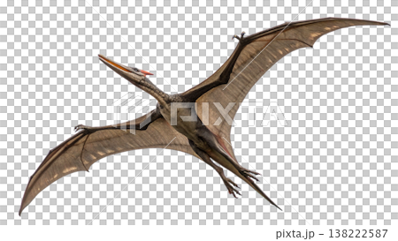 Isolated Pterodactyl soars in flight, showcasing prehistoric animal. 138222587
