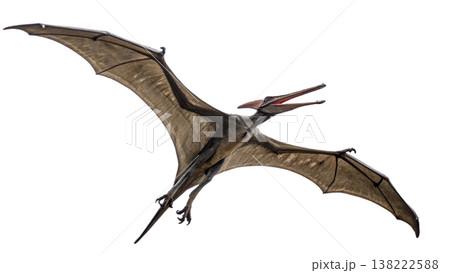 Isolated Pterodactyl soars in flight, showcasing prehistoric animal. 138222588