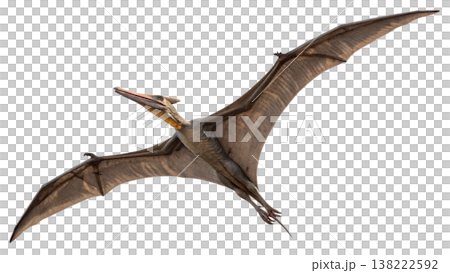 Isolated Pterodactyl soars in flight, showcasing prehistoric animal. Isolated Pterodactyl soars in flight, showcasing prehistoric animal. 138222592