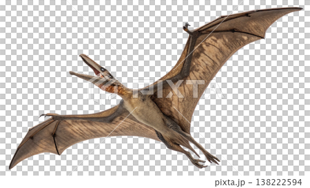 Isolated Pterodactyl soars in flight, showcasing prehistoric animal. Isolated Pterodactyl soars in flight, showcasing prehistoric animal. 138222594