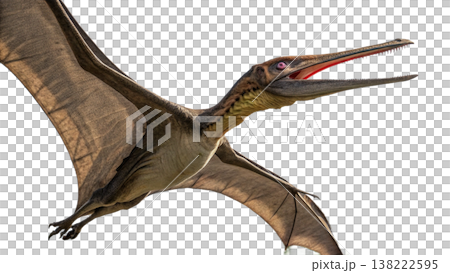 Isolated Pterodactyl soars in flight, showcasing prehistoric animal. Isolated Pterodactyl soars in flight, showcasing prehistoric animal. 138222595
