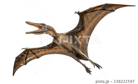 Isolated Pterodactyl soars in flight, showcasing prehistoric animal. Isolated Pterodactyl soars in flight, showcasing prehistoric animal. 138222597