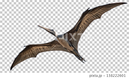 Isolated Pterodactyl soars in flight, showcasing prehistoric animal. 138222601