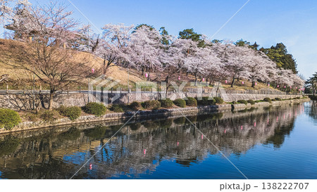 悠久山公園の水面に映る桜 悠久山公園の水面に映る桜 138222707