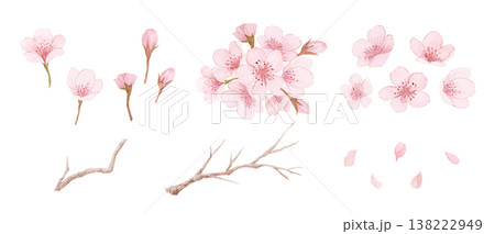 水彩の桜の花びらと枝のイラストセット 水彩の桜の花びらと枝のイラストセット 138222949
