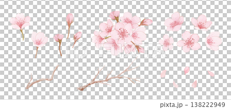 水彩の桜の花びらと枝のイラストセット 水彩の桜の花びらと枝のイラストセット 138222949