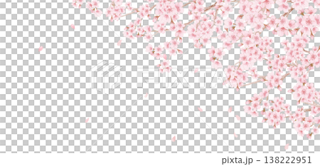 Watercolor cherry blossom illustration header frame 138222951