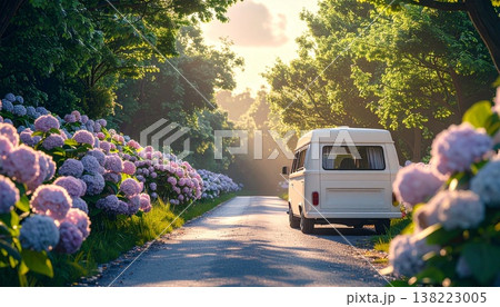 初夏の紫陽花ロードに停まる白いキャンピングバンと柔らかな自然光の静寂風景 138223005