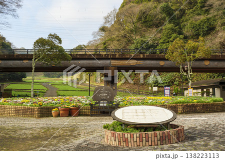 くりはま花の国の春 くりはま花の国の春 138223113
