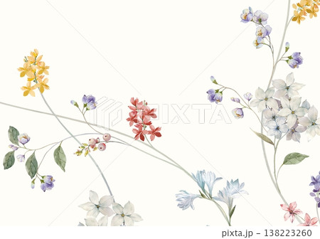 Hand Drawn Floral Illustrations 138223260