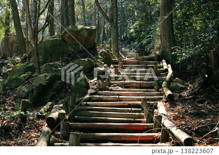 木製の階段が整備された急な登りの登山道 138223607