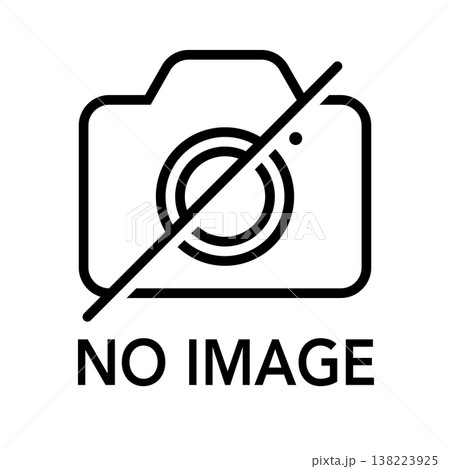 カメラアイコン NO IMAGE ダミー用素材 文字入り 138223925