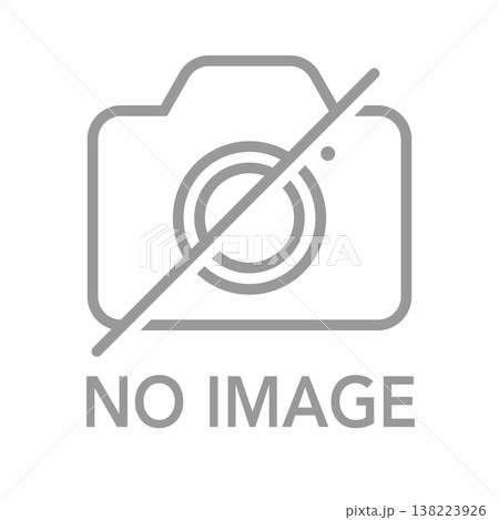 カメラアイコン NO IMAGE ダミー用素材 文字入り 138223926