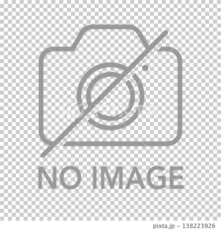 カメラアイコン NO IMAGE ダミー用素材 文字入り 138223926
